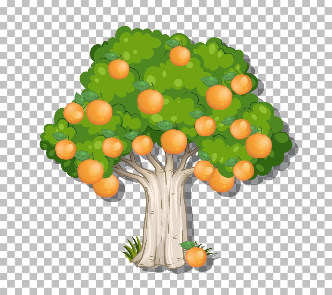 Orangenbaum auf Gitterhintergrund vektor