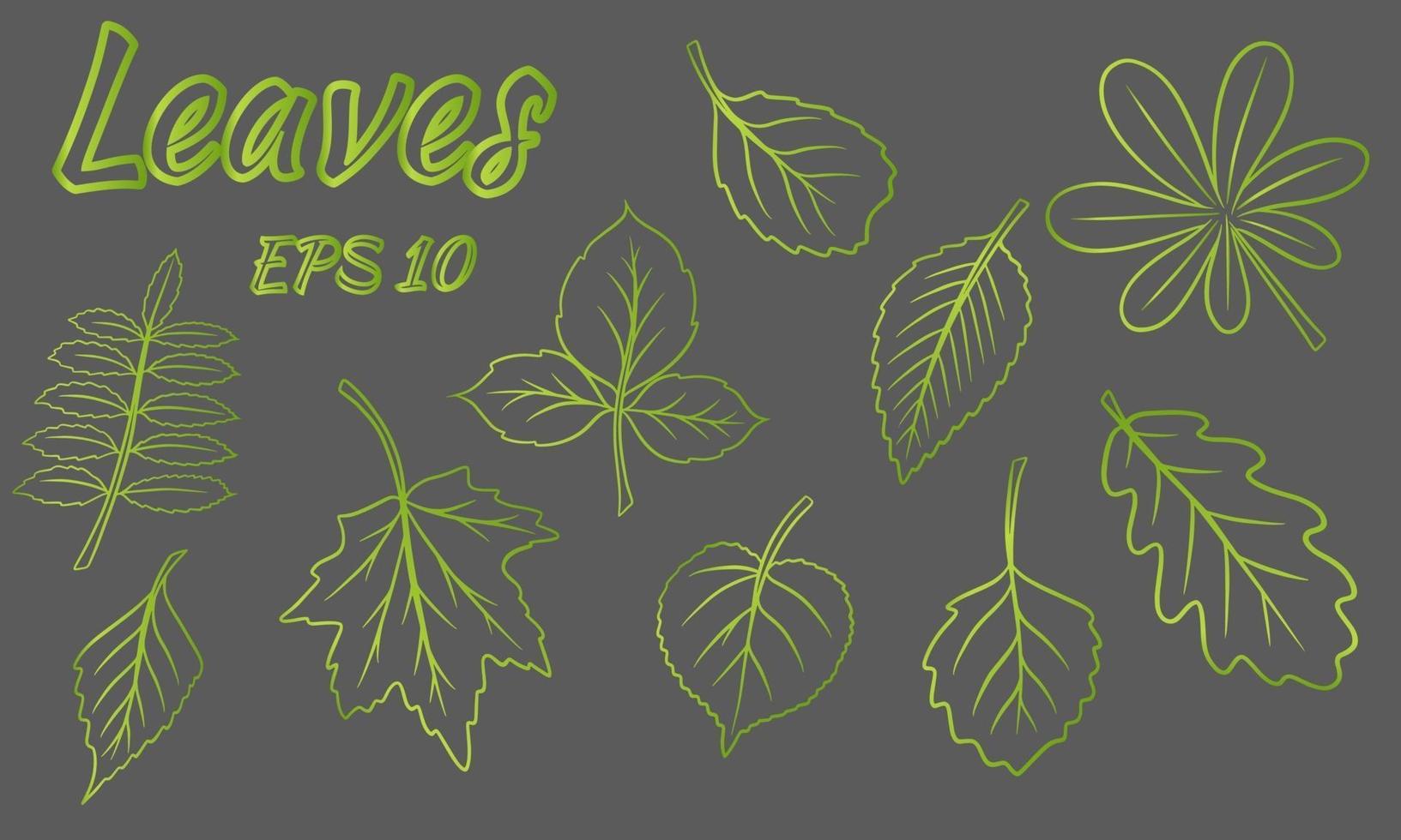 samling av gröna blad blad av olika former snidade blad siluett vektor