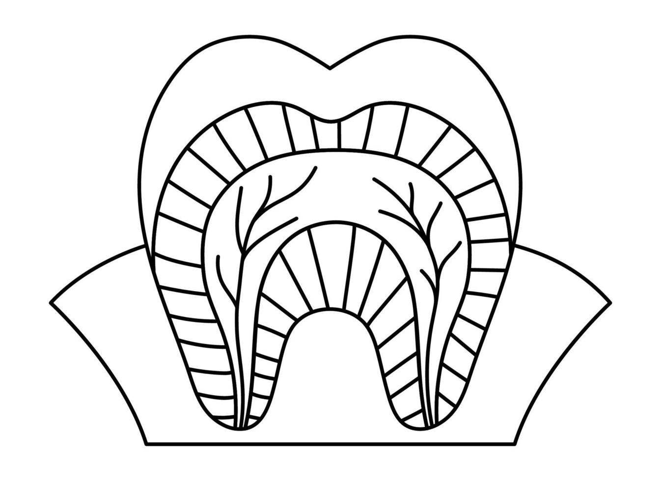 schwarz-weißes zahnanatomieplakat. Linie Zähne Strukturschema. Zahnteile skizzieren Abbildung. Vorlage für eine pädagogische Broschüre für Zahnarztkliniken. Zahnschmelz, Dentin, Zahnfleischbild oder Malvorlage vektor