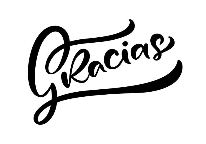 &quot;Gracias&quot; (&quot;Danke&quot; auf Spanisch) Moderne Bürstenkalligraphie vektor