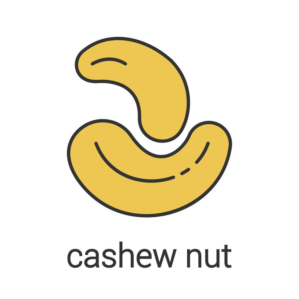 cashewnötsfärgikon. isolerad vektor illustration