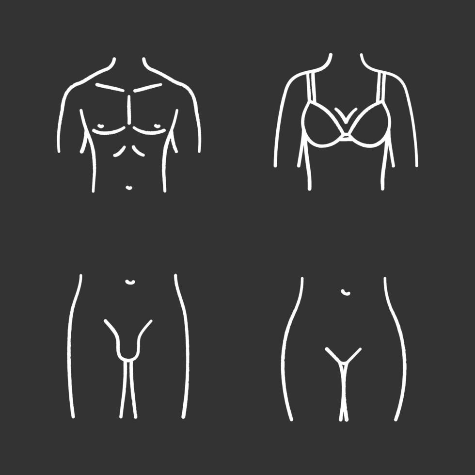 Kreidesymbole für menschliche Körperteile gesetzt. muskulöse Männerbrust, weibliche Brust, Bikinizone, männliche Leiste. isolierte tafel Vektorgrafiken vektor