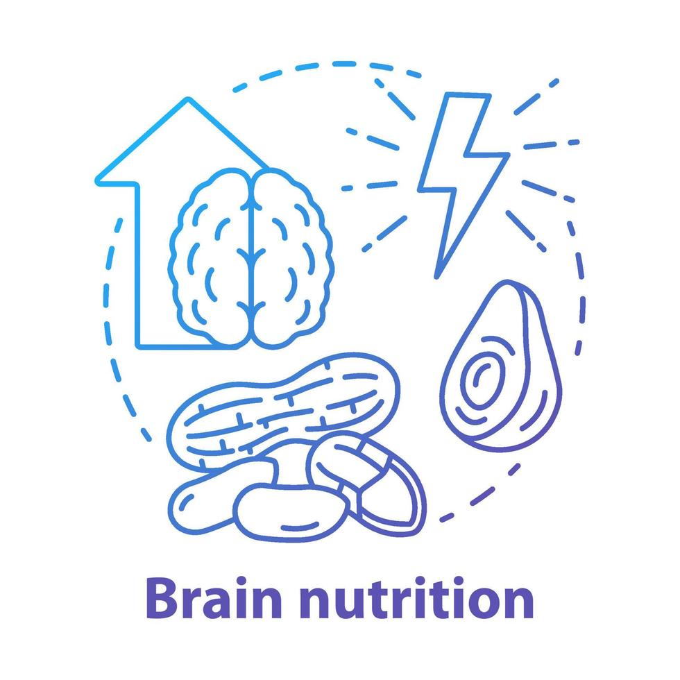 Gehirn Ernährung blaues Farbverlauf Konzept Symbol. Keto-Diät-Idee dünne Linie Abbildung. ketogene Nahrung. gesunde Mahlzeit, Snacks. verschiedene Nüsse. Energieressource. Vektor isolierte Umrisszeichnung