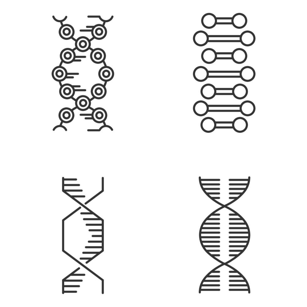 DNA-Spiralketten lineare Symbole gesetzt. Desoxyribonukleinsäure, Nukleinsäurehelix. Molekularbiologie. genetischer Code. Genetik. dünne Linienkontursymbole. isolierte Vektorgrafiken. bearbeitbarer Strich vektor