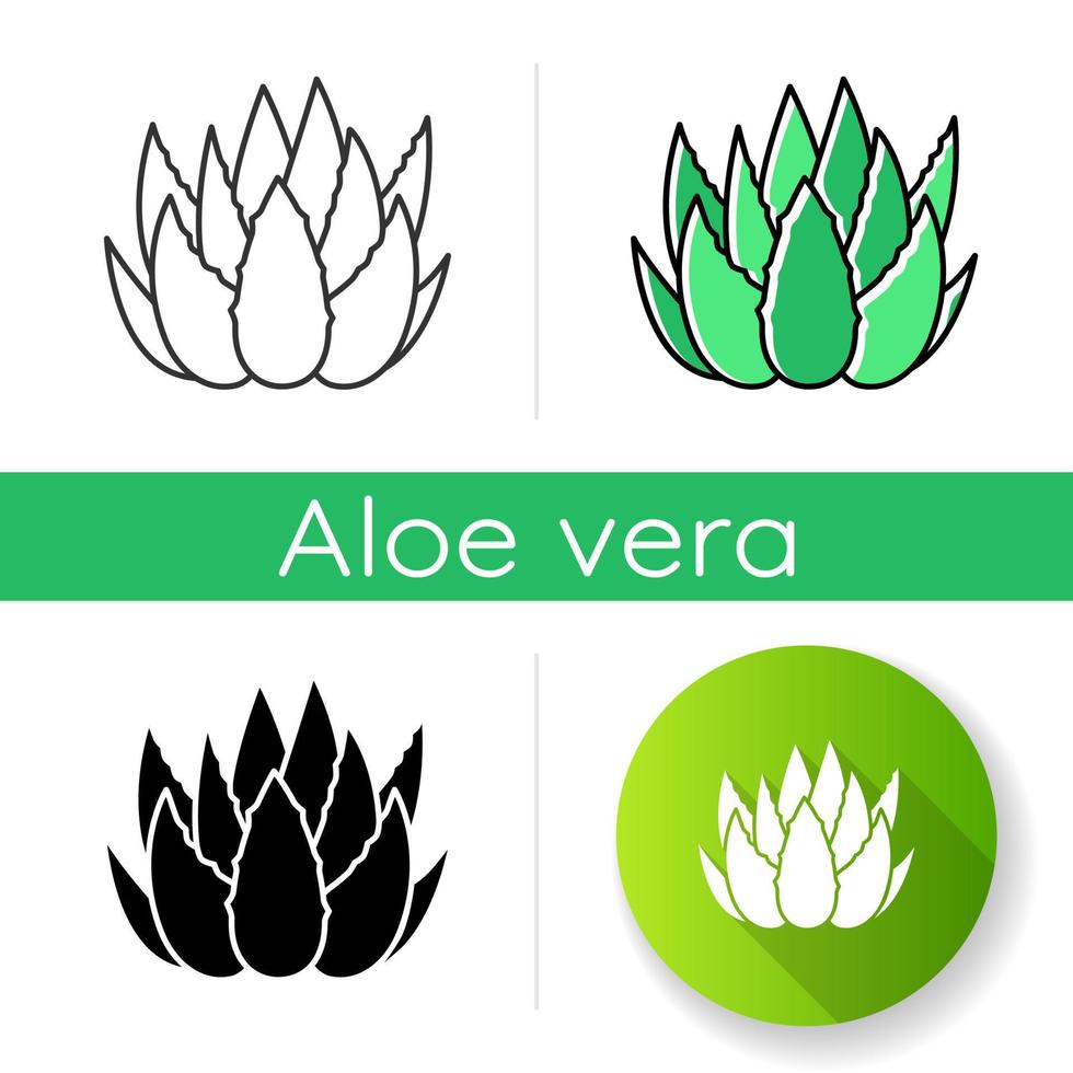 Kaktussprossen-Symbol. Aloe-Vera-Blätter. wachsende Heilpflanze. dekorative Pflanze. botanische Zutat. Dermatologie und Kosmetik. lineare Schwarz- und RGB-Farbstile. isolierte vektorillustrationen vektor