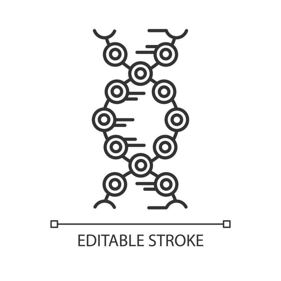 dna strängar linjär ikon. anslutna cirklar, linjer. deoxiribonukleinsyra, nukleinsyra -helix. kromosom. genetik. tunn linje illustration. kontursymbol. vektor isolerade konturritning. redigerbar stroke