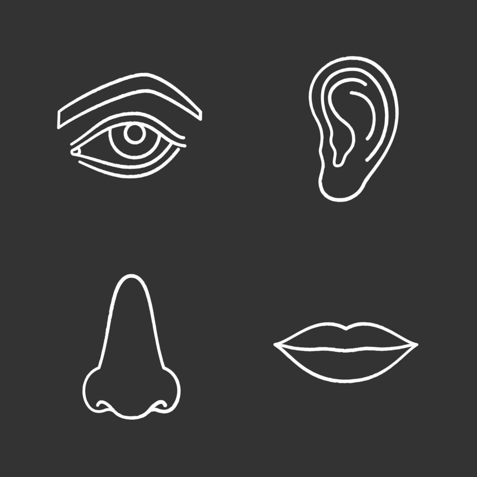 ansiktsdelar krita ikoner set. ögon, näsa, öra, läppar. isolerade vektor tavla illustrationer