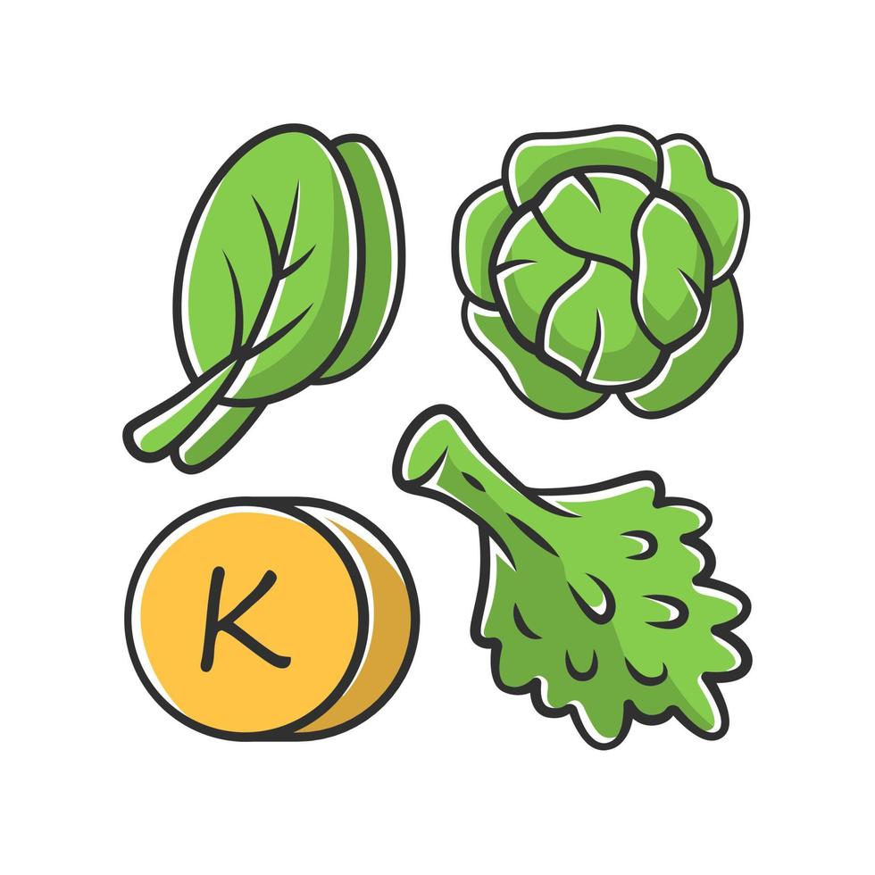 vitamin k grön färgikon. ätbara grönsaker och kål. hälsosam mat. mineraler, antioxidanter naturlig källa. rätt kost. isolerad vektor illustration