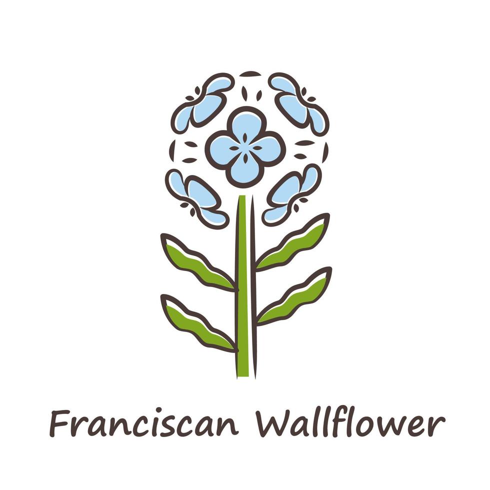 franciskanska väggblomma blå färgikon. trädgård blommande växt med namn inskrift. erysimum franciscanum blomställning. blommande vildblomma, ogräs. vårblomma. isolerad vektor illustration