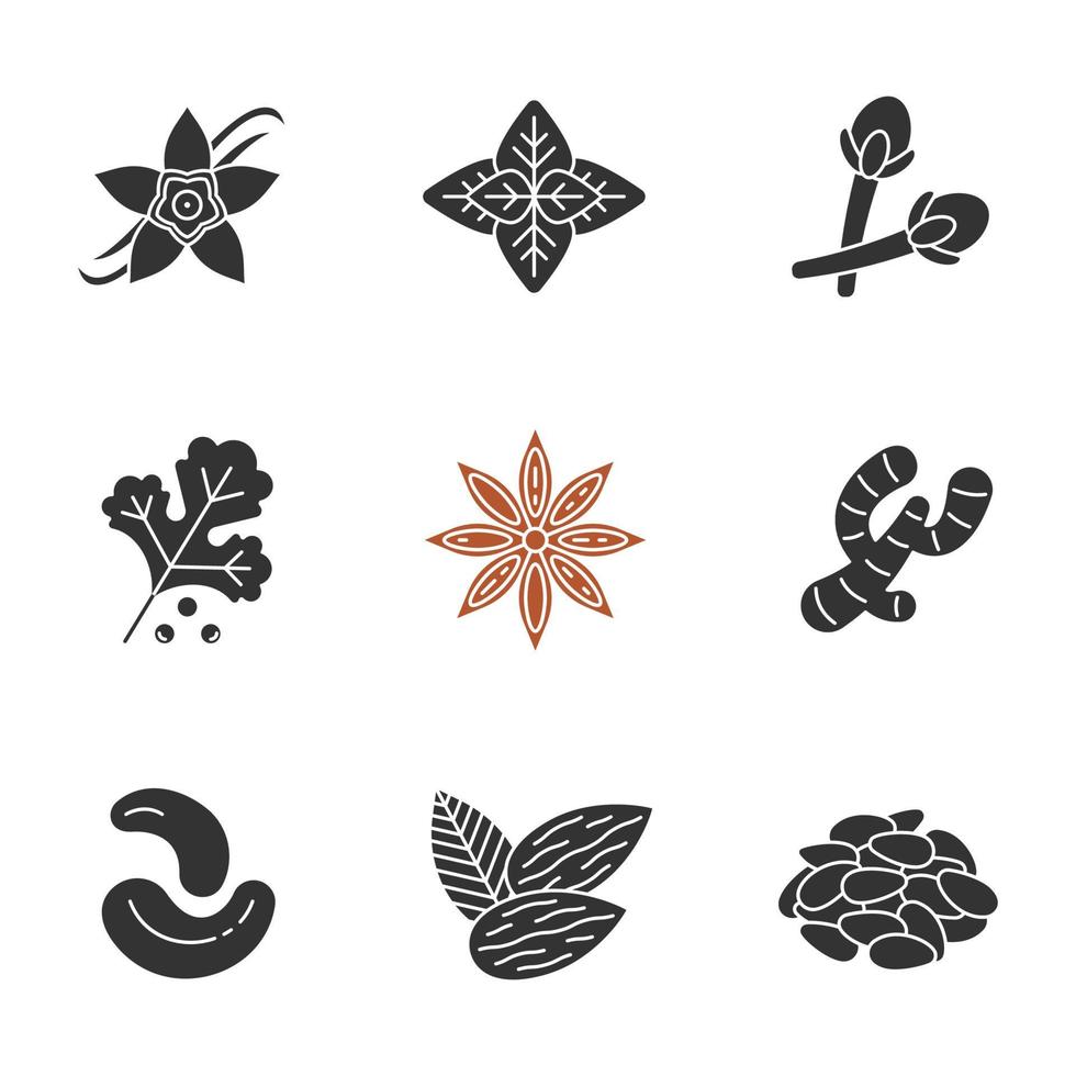 Gewürze Glyphe Icons Set. Gewürze, Aromen. Silhouette-Symbole. Vanilleblüte, Basilikum, Gewürznelke, Koriander, Anis, Ingwer, Cashewnüsse, Mandeln, Pinienkerne. isolierte Vektorgrafik vektor