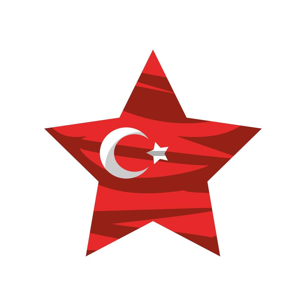 Turkiet flagga i stjärna vektor