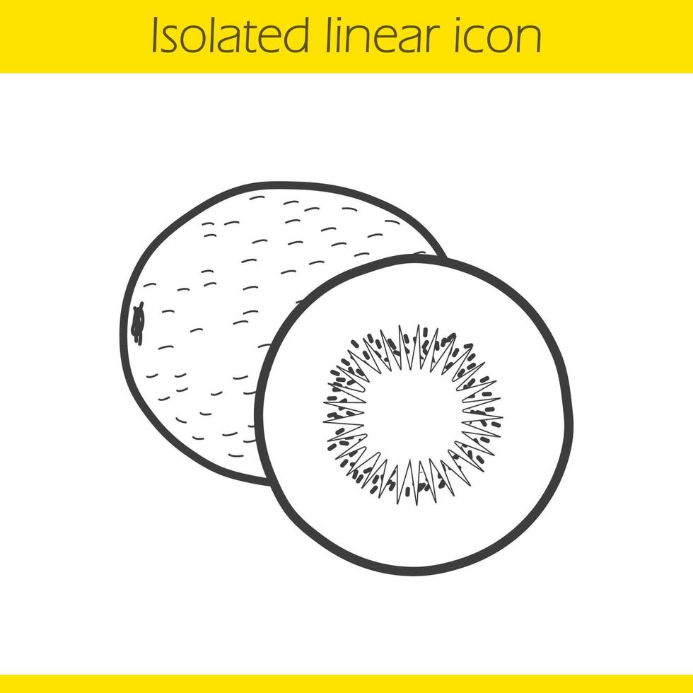 Kiwis lineares Symbol. dünne Linie Abbildung. Kontursymbol. Vektor isolierte Umrisszeichnung