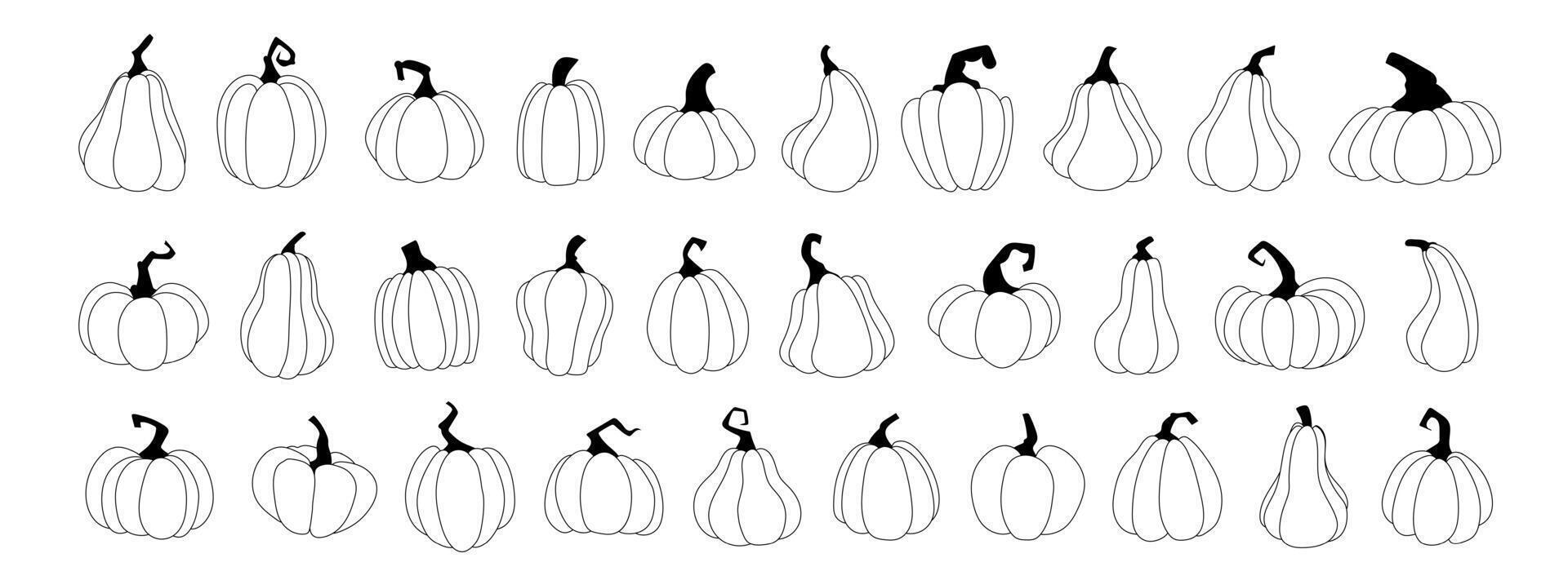 einstellen Kürbisse, quetschen Vektor Symbole Illustrationen. schwarz linear Stil Kürbisse, Halloween quetschen, fallen Ernte Kürbisse. Herbst das Erntedankfest und Halloween Kürbisse Sammlung.