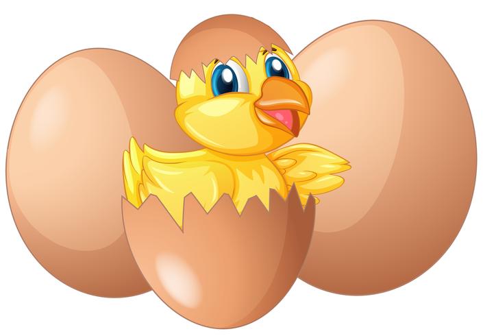 Litet kycklingkläckande ägg vektor