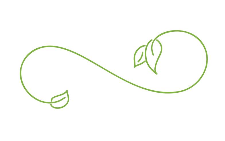 Grön monolin kalligrafi skandinaviskt blomstra vektorelement. Divider eller hörn design för bröllop och Alla hjärtans dag, födelsedag hälsningskort och web, eco logotyp vektor