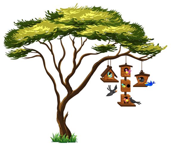 Många fåglar på fågelhus hängande från träd vektor