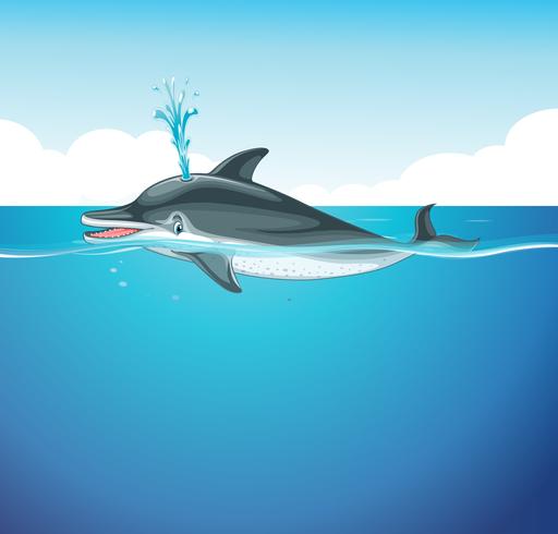 Delphinspritzwasser im Meer vektor