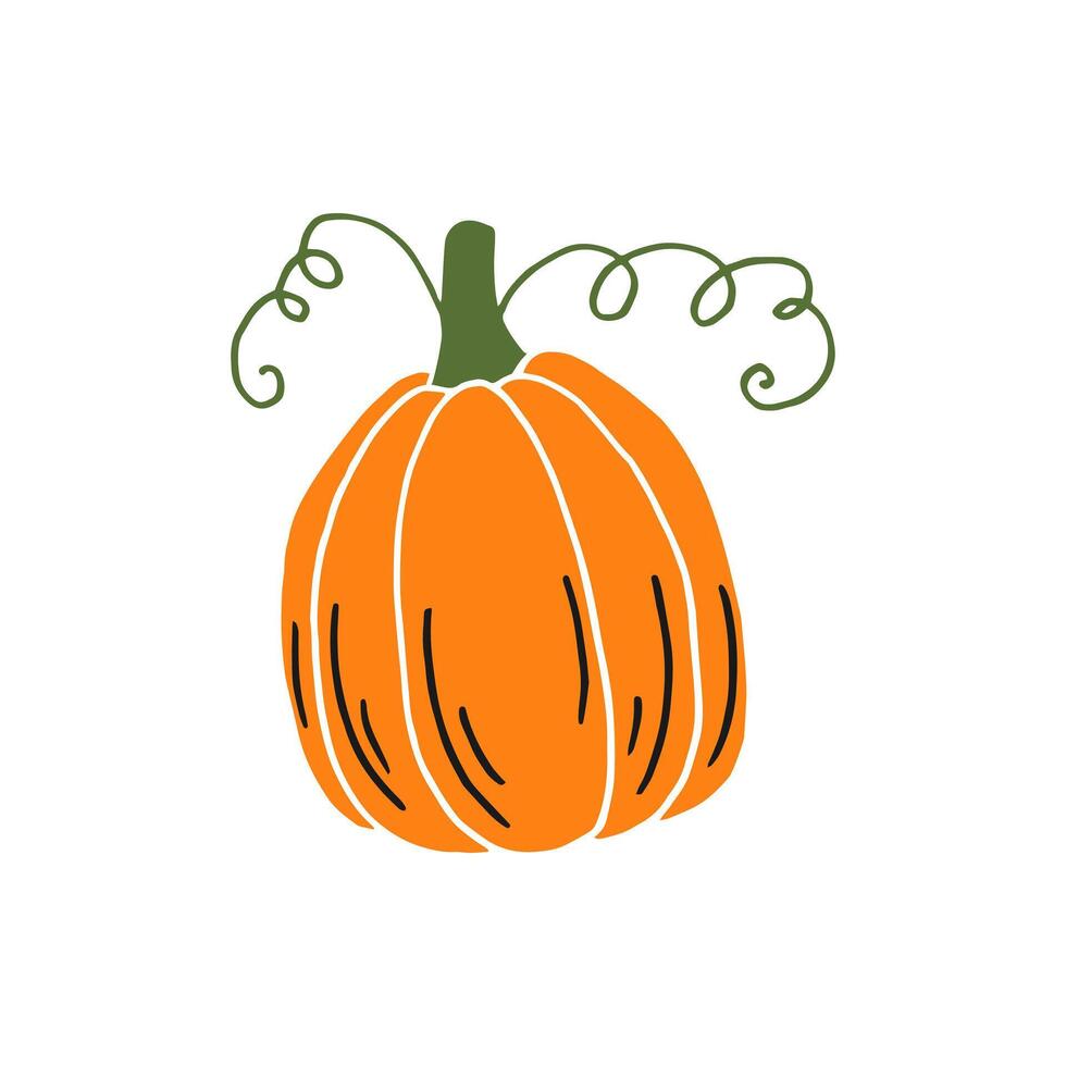 pumpa. tacksägelse och halloween element. hand dragen vektor illustration.