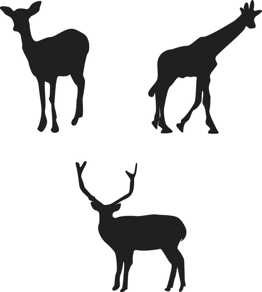 Tierwelt Silhouette Satz. im verschiedene Tiere. Vektor Illustration