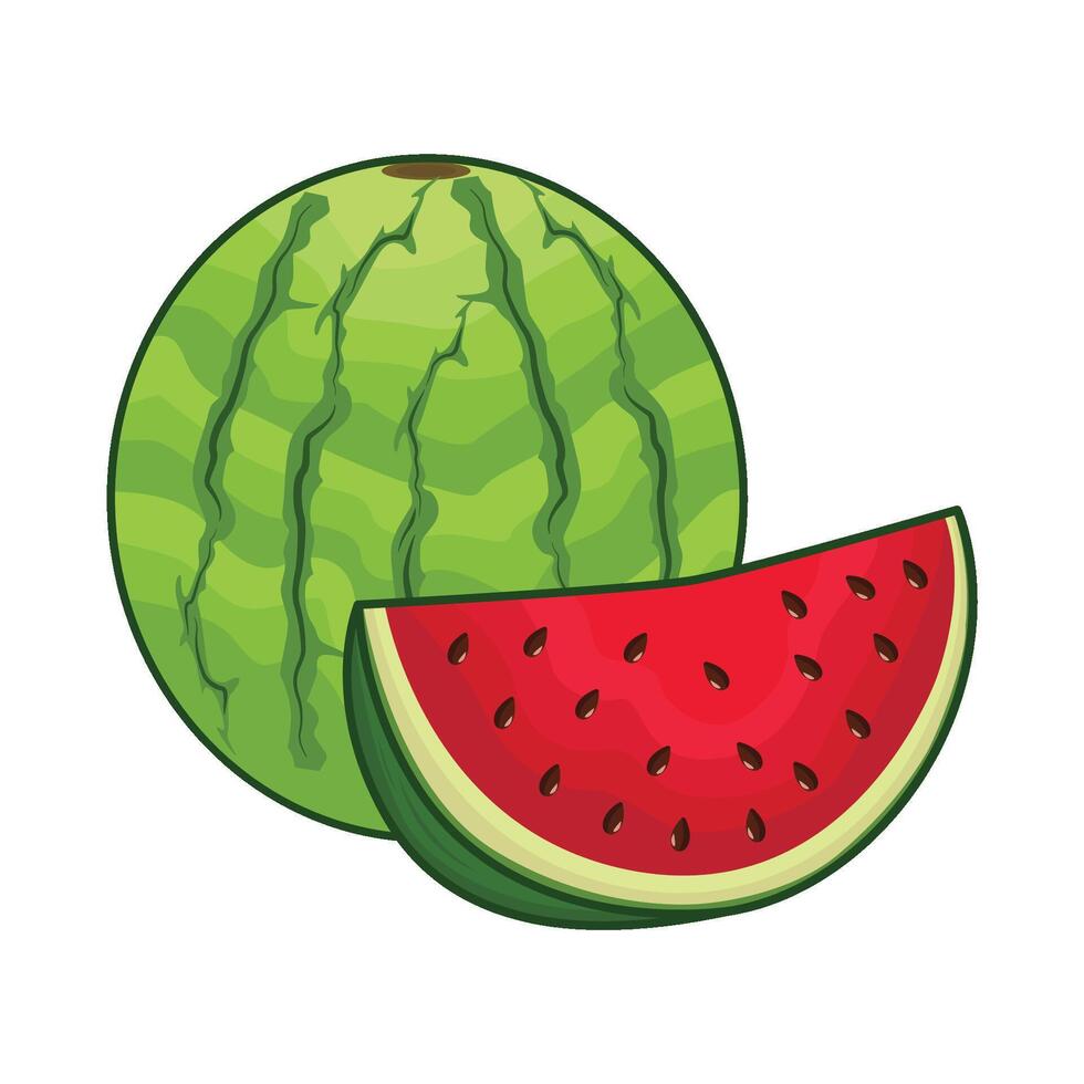 Illustration von Wassermelone vektor