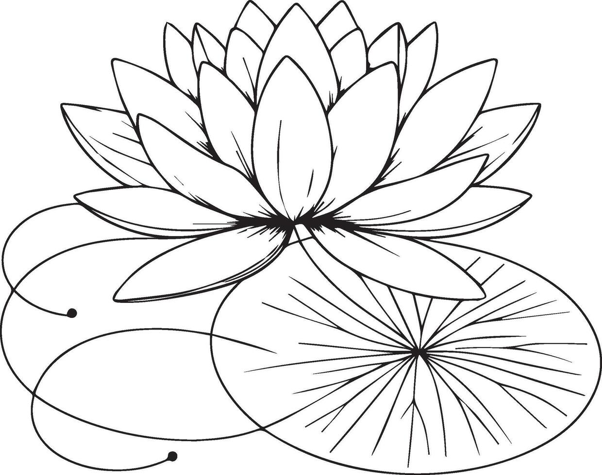 blomma färg sida och böcker, svartvit vektor skiss, näckros skiss, vattenlilu vektor, blommig bakgrund med lotus naturlig blad samling, illustration penna konst blomma, bellflowe teckning