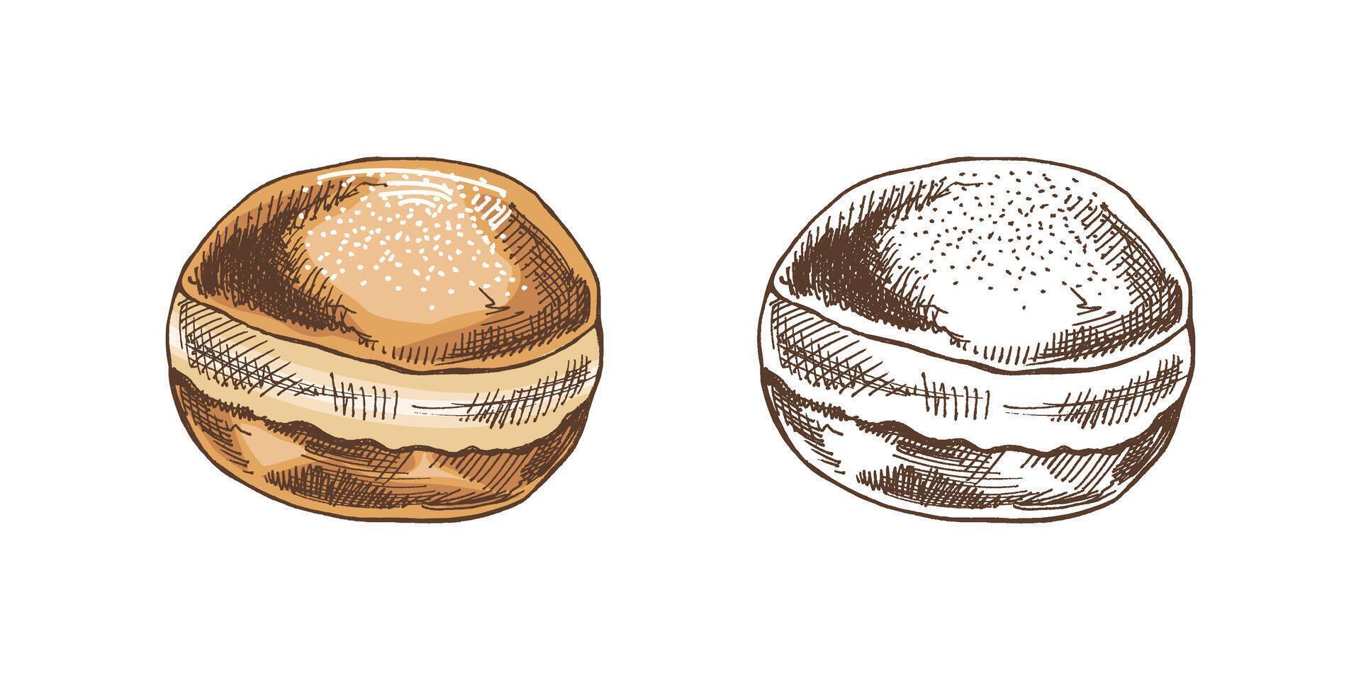 traditionell Deutsche Polieren Krapfen, abgestaubt. Jahrgang farbig und einfarbig Illustration. Gebäck Süßigkeiten, Nachtisch. Element zum das Design von Etiketten, Verpackung und Postkarten. vektor