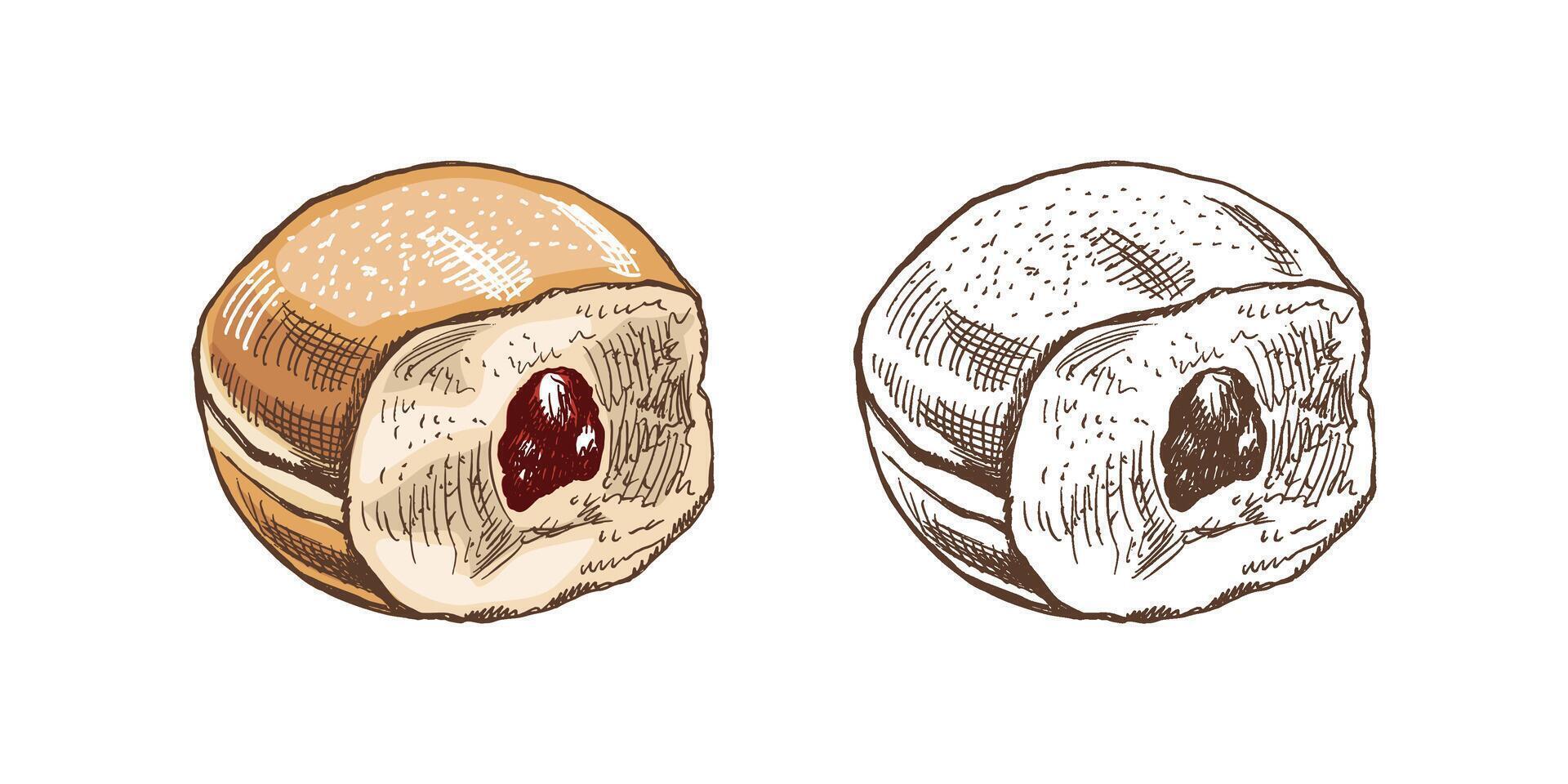 traditionell Deutsche Polieren Krapfen mit Marmelade, abgestaubt. Jahrgang farbig und einfarbig Illustration. Gebäck Süßigkeiten, Nachtisch. Element zum das Design von Etiketten, Verpackung und Postkarten. vektor