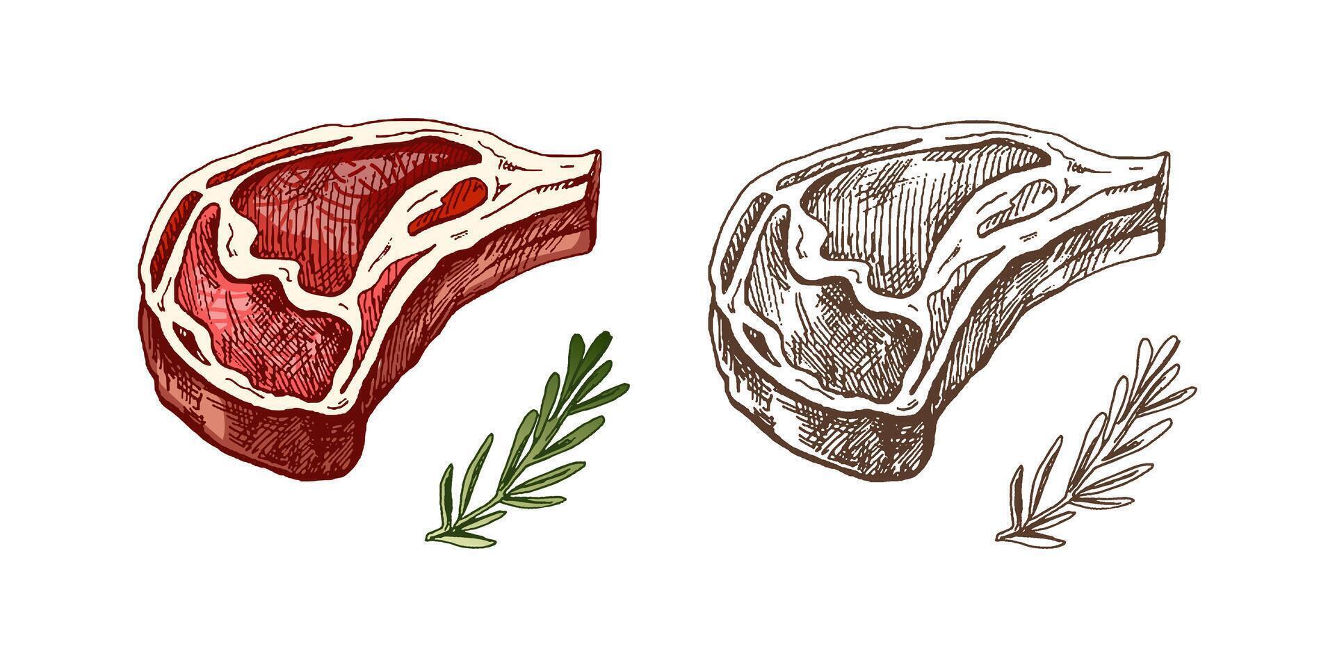 organisk mat. ritad för hand Färg vektor skiss av grillad nötkött biff, bit av kött med rosmarin. årgång illustration. dekorationer för de meny av kaféer och etiketter. graverat bild.