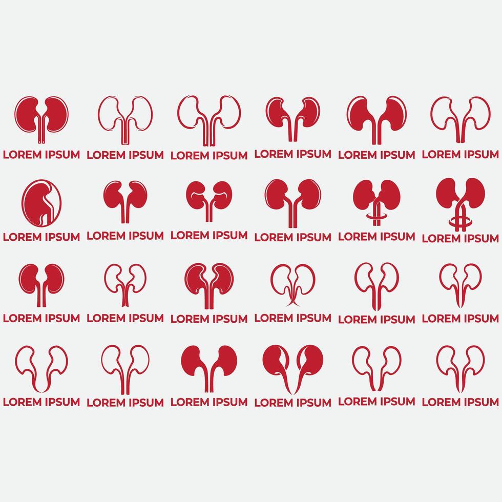 samling av njure logotyper vektor