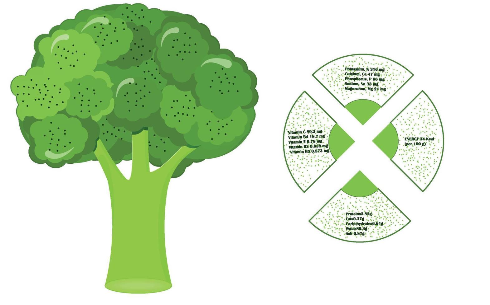 Brokkoli-Nährstoff-Infografiken Vitamine gesundes Essen. Vektor-Illustration vektor