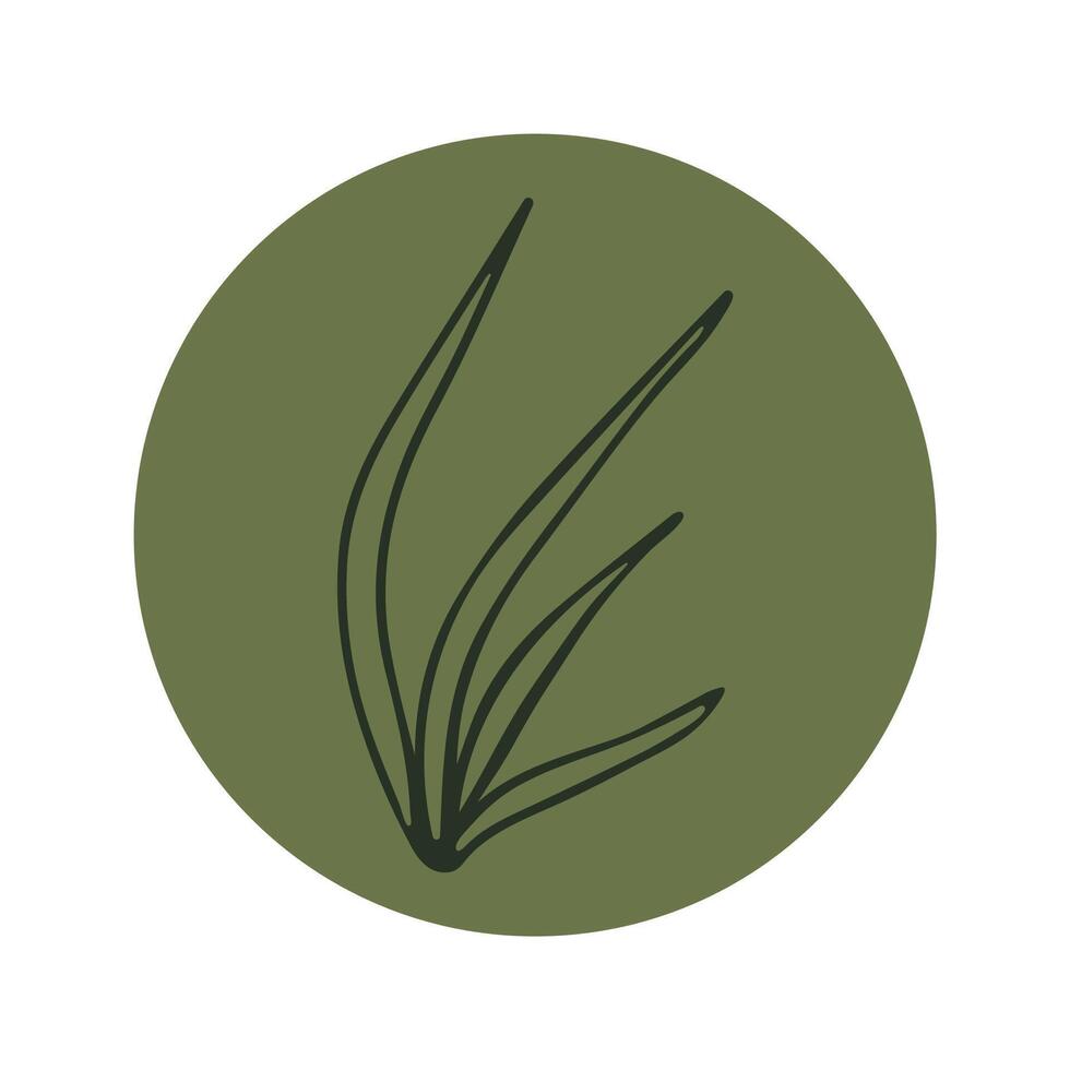 ikoner av växter, blommor, grenar i grunge cirklar vektor