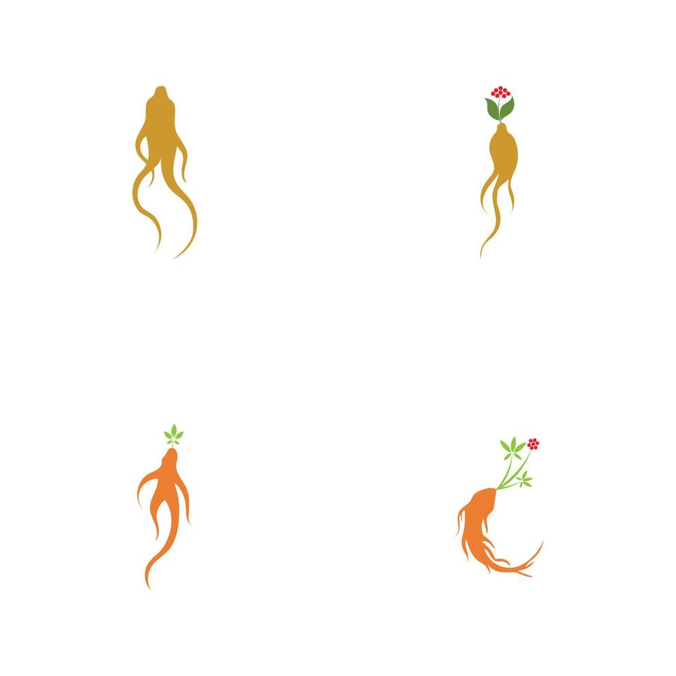 Satz von Ginseng-Logo-Illustrations-Design-Vorlage vektor