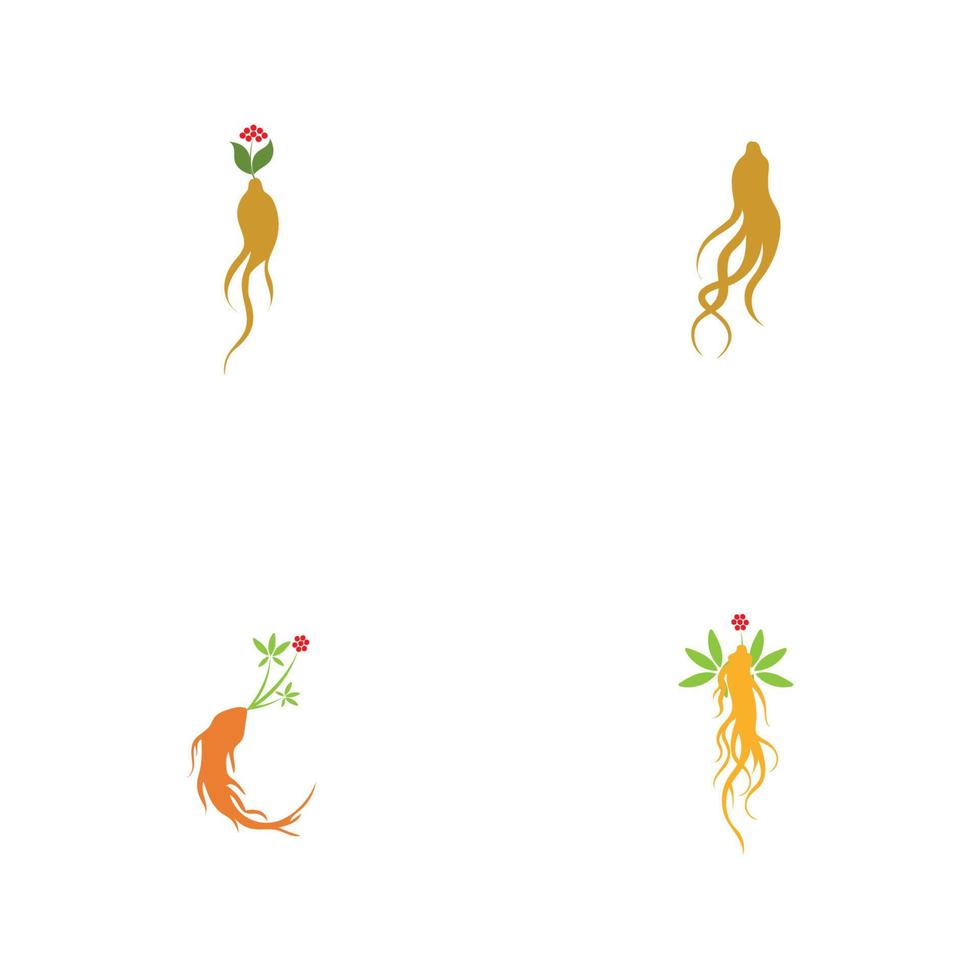Satz von Ginseng-Logo-Illustrations-Design-Vorlage vektor