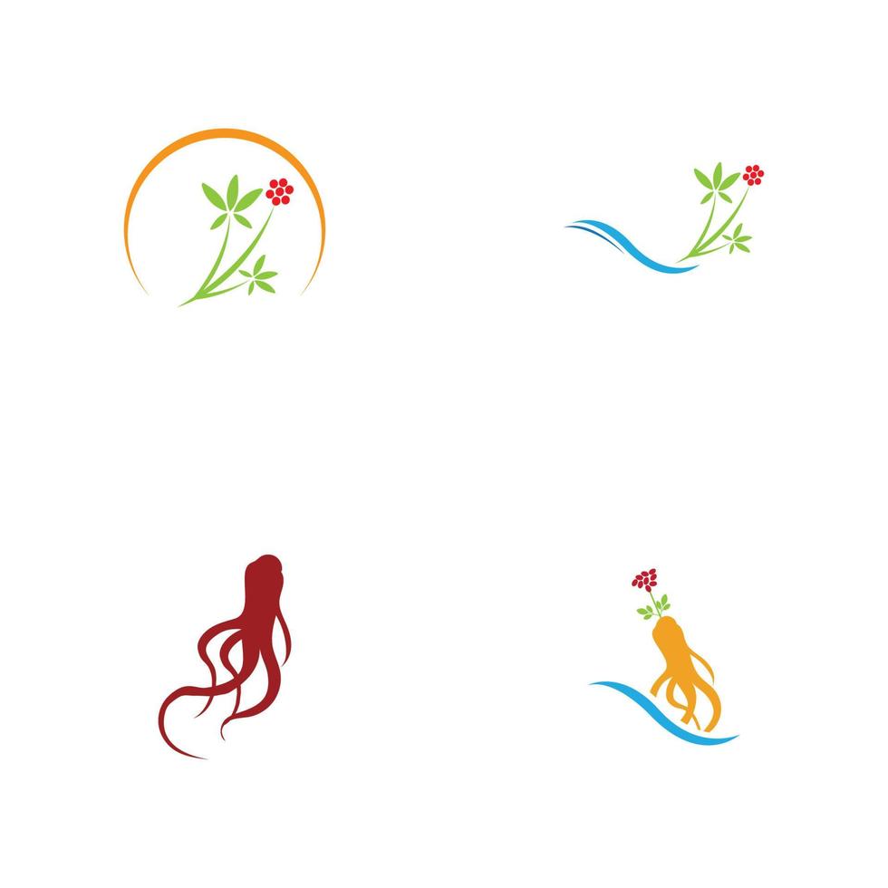 Satz von Ginseng-Logo-Illustrations-Design-Vorlage vektor