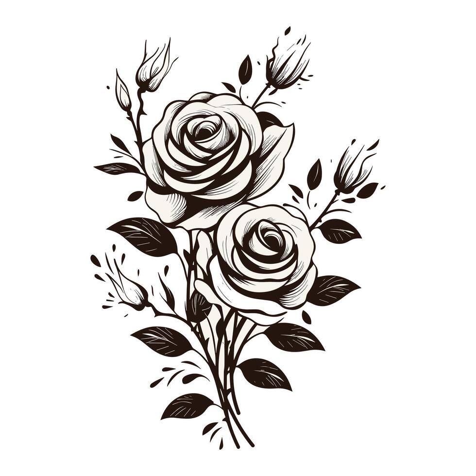 schwarz und Weiß Rosen auf ein Weiß Hintergrund vektor