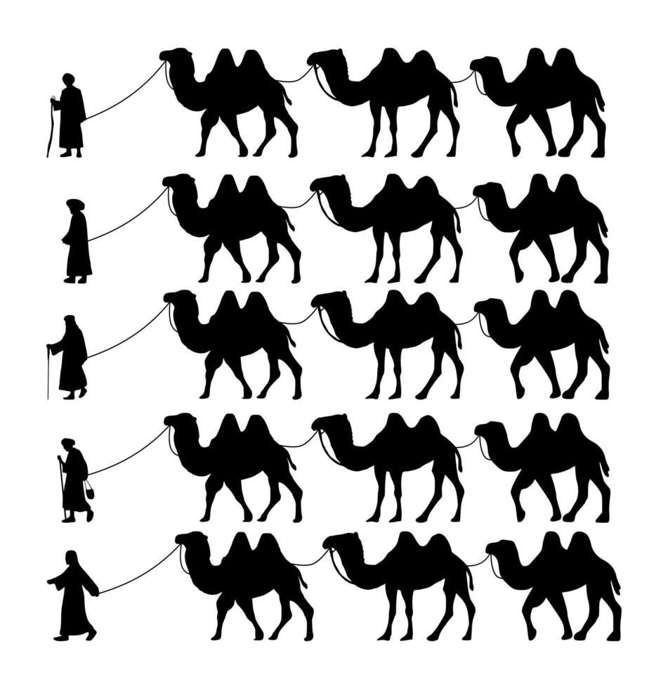 samling av kamel herder silhuett illustration. kamel husvagn silhuett vektor