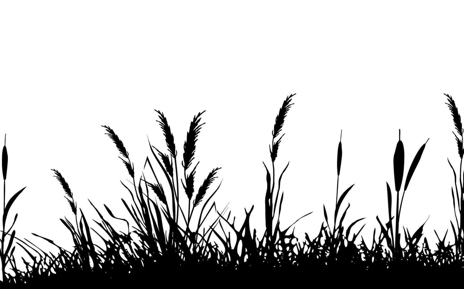 Bild von ein einfarbig Schilf, Gras oder Rohrkolben auf ein Weiß hintergrund.isoliert Vektor Zeichnung.schwarz Gras Grafik Silhouette.