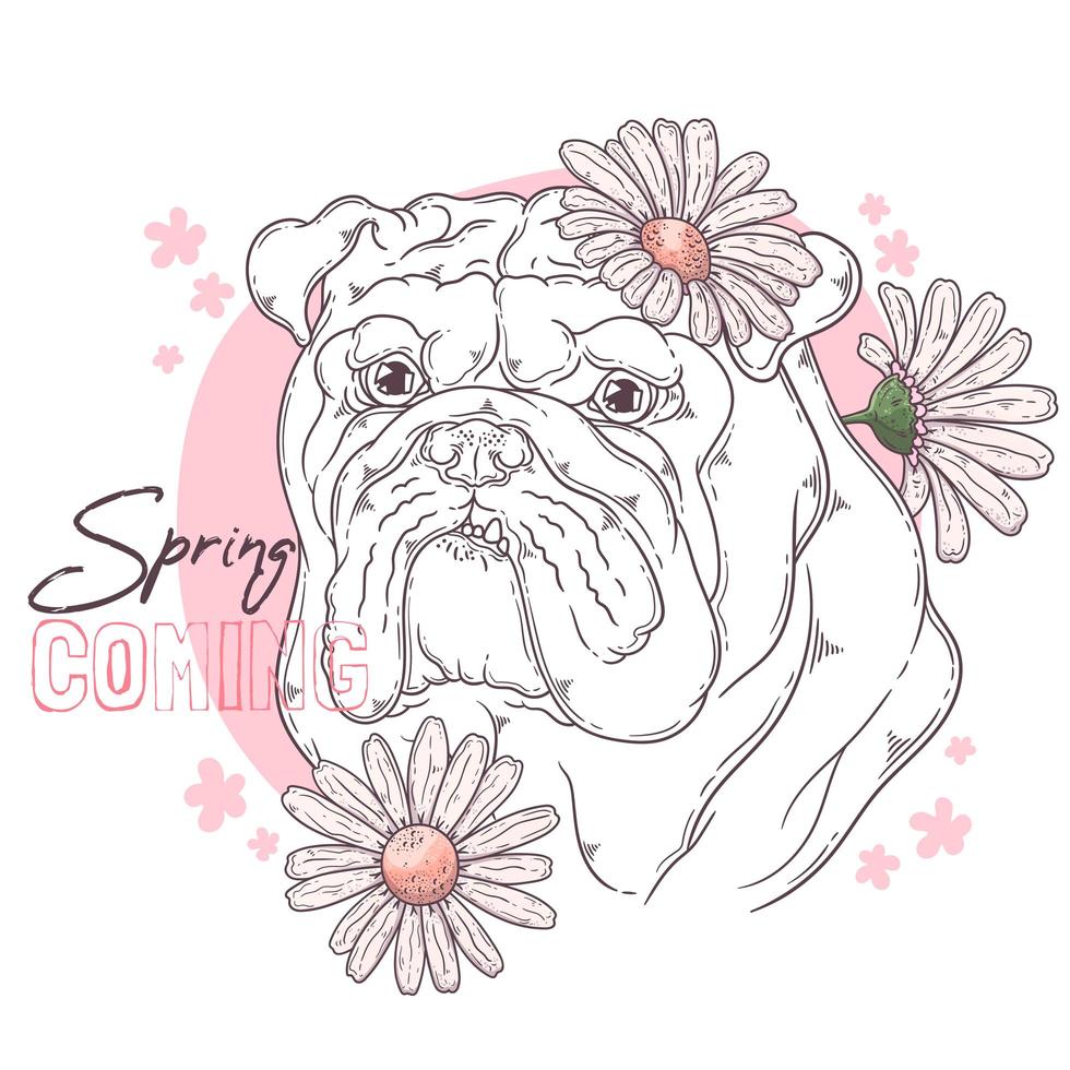 handgezeichnete Bulldogge mit Blumenvektor. isolierte Objekte für Ihr Design. Jedes Objekt kann geändert und verschoben werden. vektor