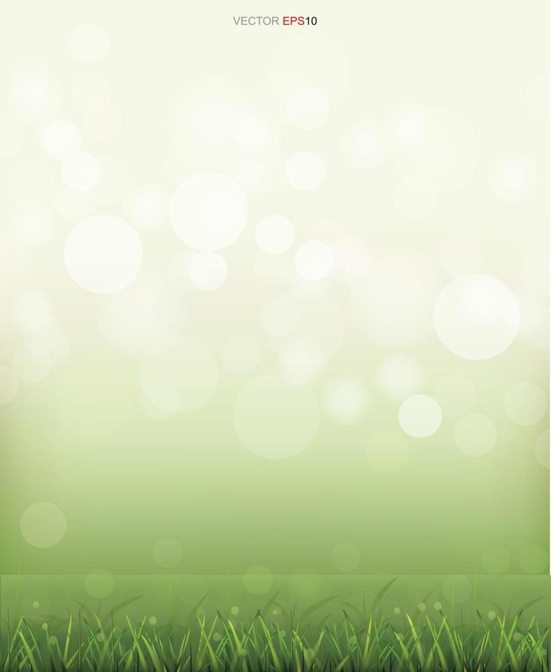 grüne Wiese mit leicht unscharfem Bokeh-Hintergrund. Vektor. vektor
