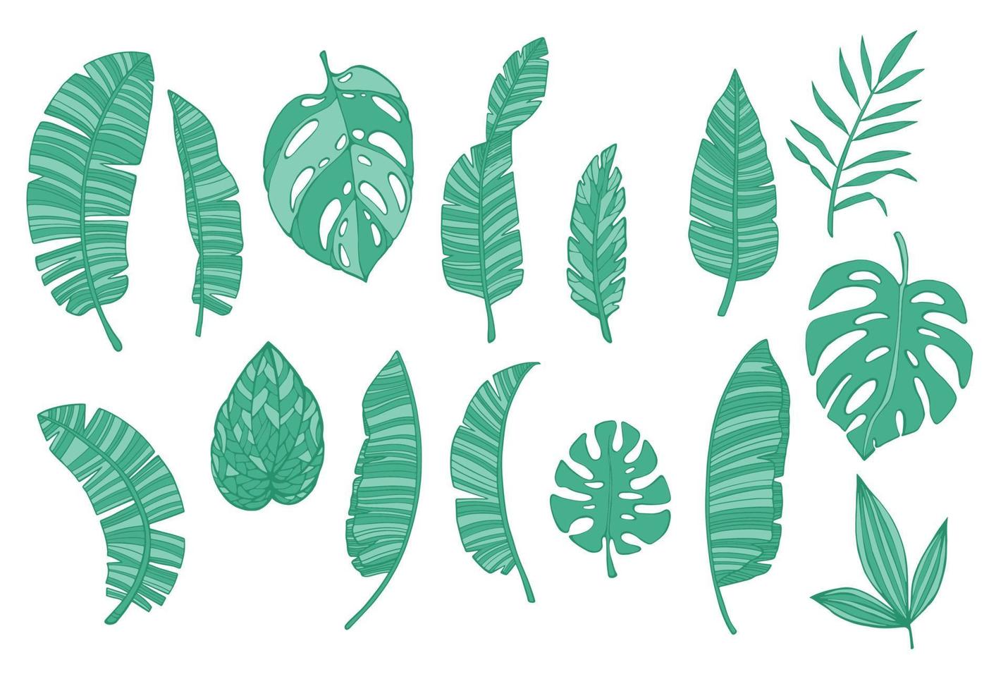 Satz tropischer grüner Blätter auf weißem Hintergrund vektor