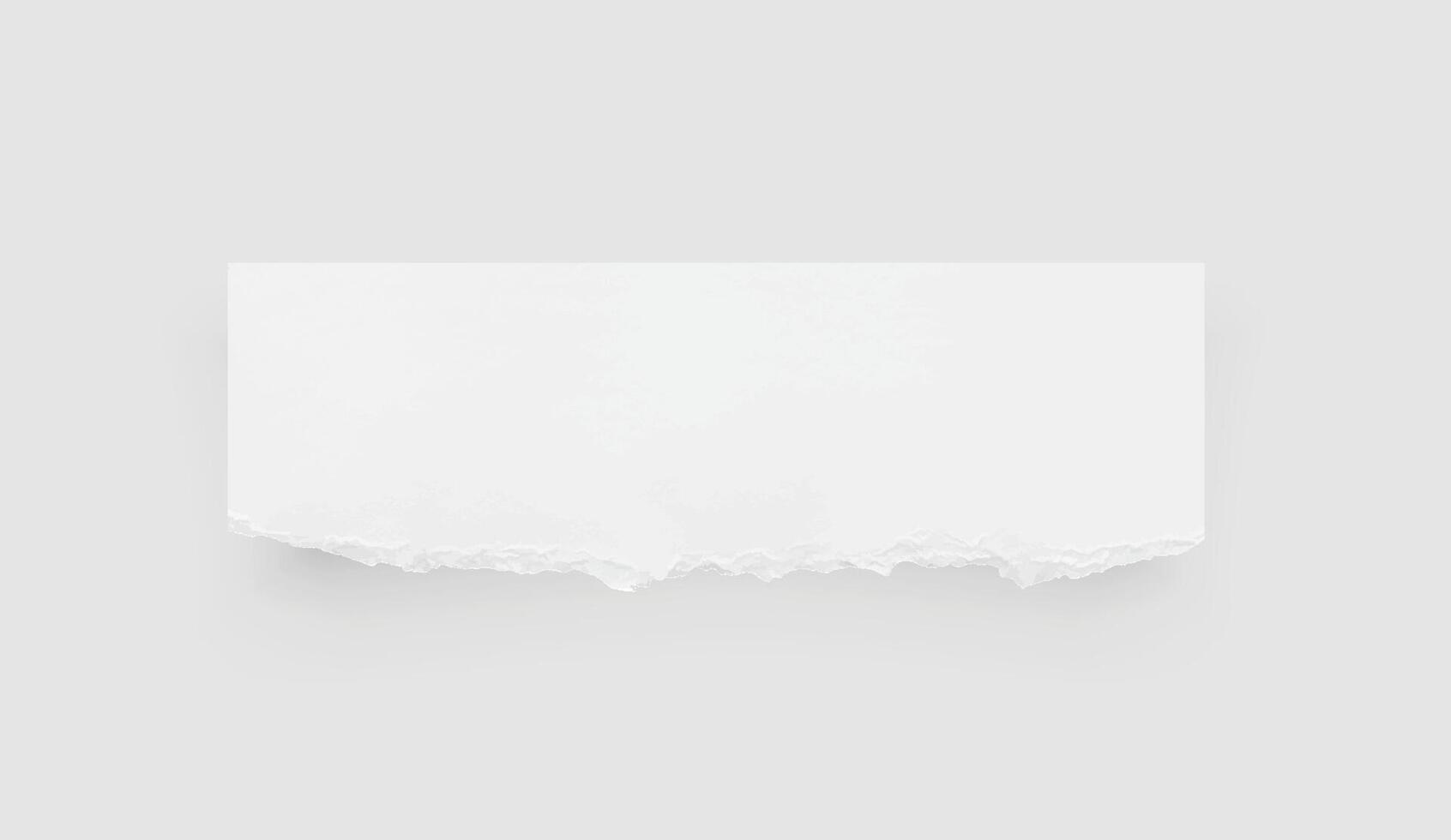 trasig papper kanter. rev papper textur. papper märka. vit papper ark för bakgrund med klippning väg. vektor. vektor