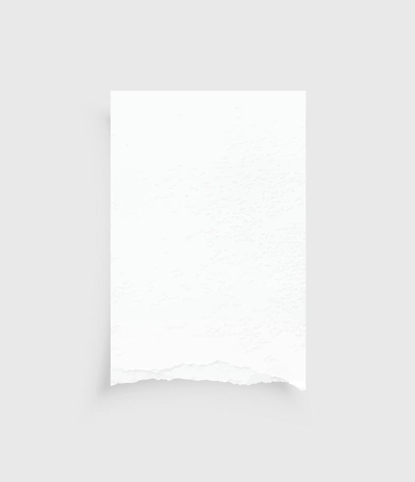 trasig papper kanter. rev papper textur. papper märka. vit papper ark för bakgrund med klippning väg. vektor. vektor