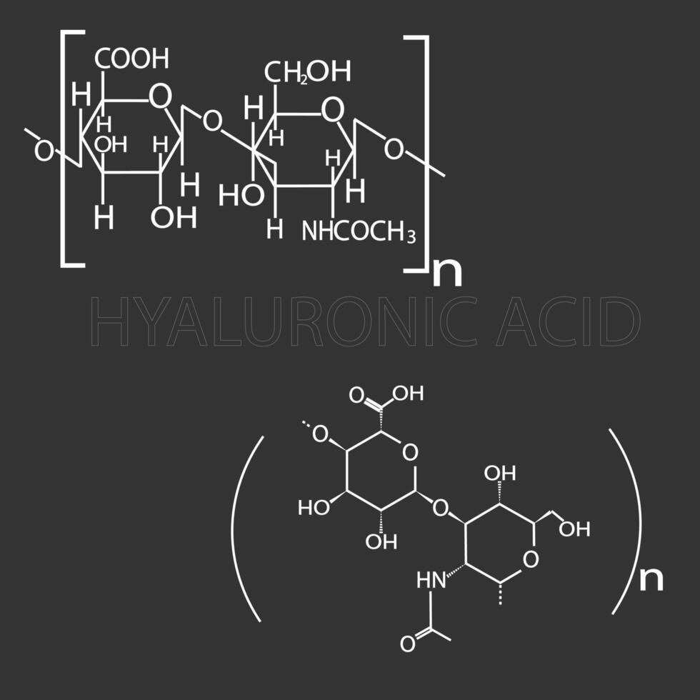 hyaluronisk syra molekyl skelett- kemisk formel vektor