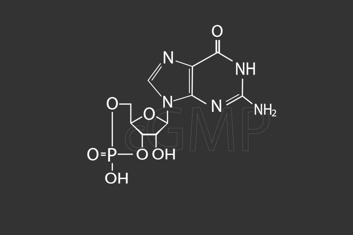 cgmp molekyl skelett- kemisk formel vektor