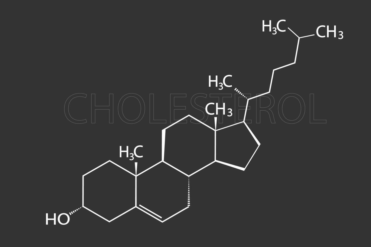 Cholesterin molekular Skelett- chemisch Formel vektor