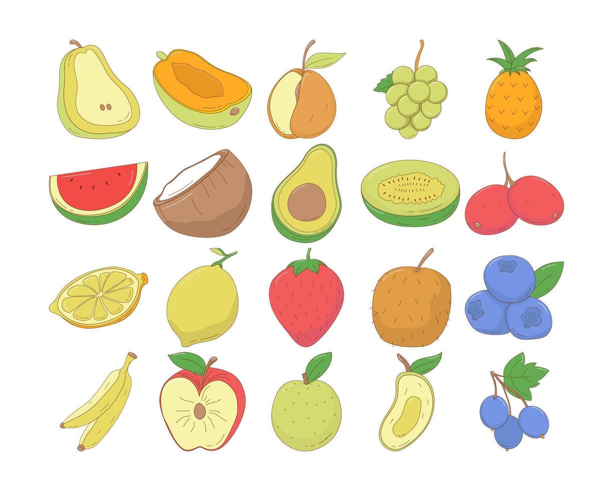 uppsättning av hand dragen frukt vektor illustration. kreativ hand dragen frukt vektor element design