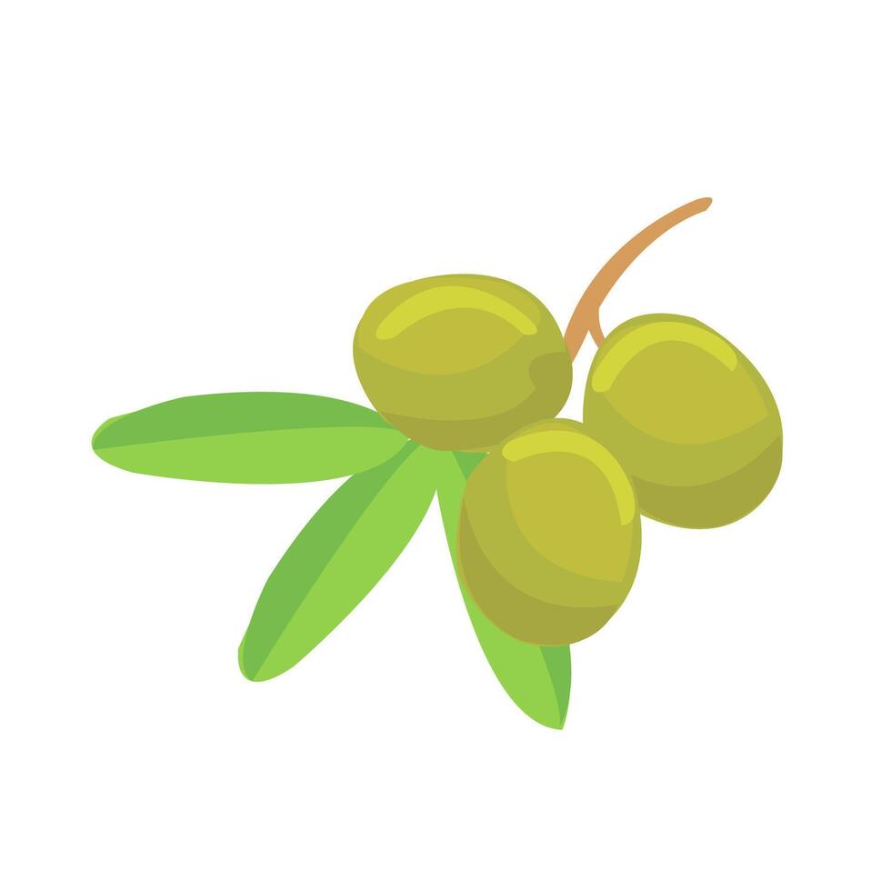 grön oliver med löv ikon vektor