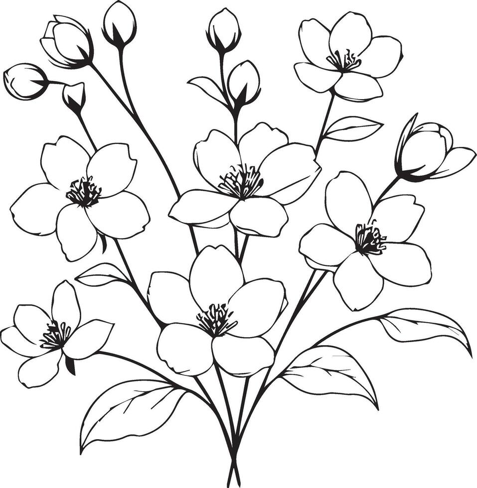 einzigartig Blume Färbung Seiten, handgemalt Vektor Illustration von ein Garten Vielfalt von Jasmin und Gliederung Illustration, Hütte Garten Blumen Mauer Dekor, Jasmin Blume Kunst drucken, wite Jasmin Kunst