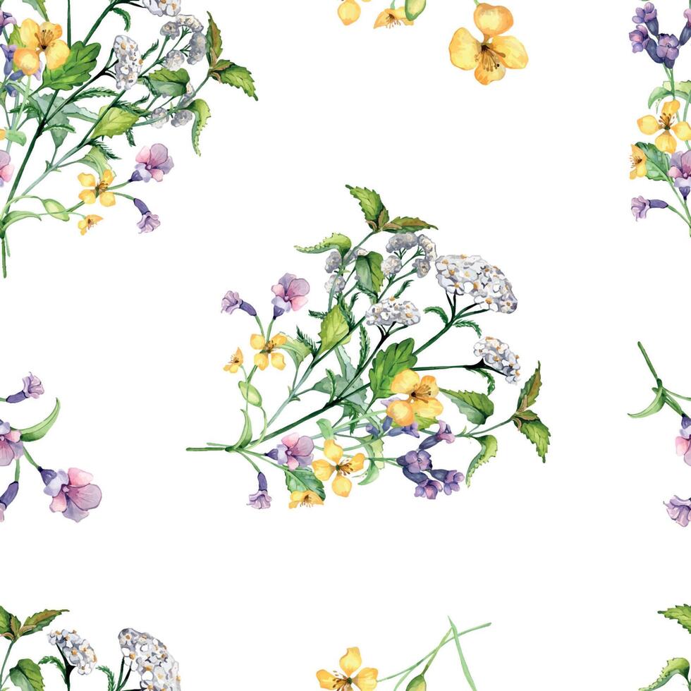 sömlös vild medicinsk växt, örter vattenfärg mönster isolerat på vit bakgrund. blommig mönster med millefolium, nässla, pulmonaria, celanin hand ritade. design för märka, paket, textil- vektor