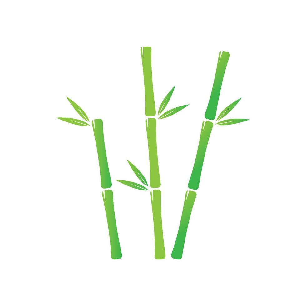 Bambus mit Grün Blatt Vektor